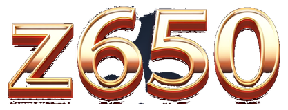 z650 logo